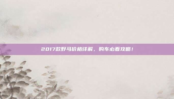 2017款野马价格详解，购车必看攻略！