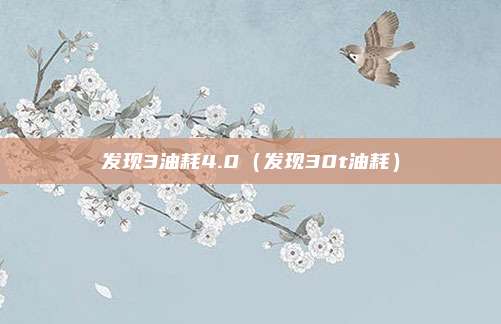 发现3油耗4.0（发现30t油耗）