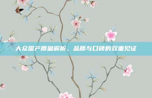 大众国产质量解析，品质与口碑的双重见证
