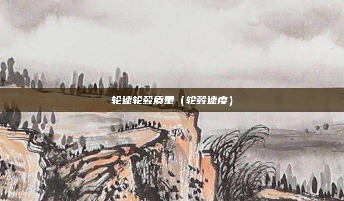轮速轮毂质量(轮毂速度)