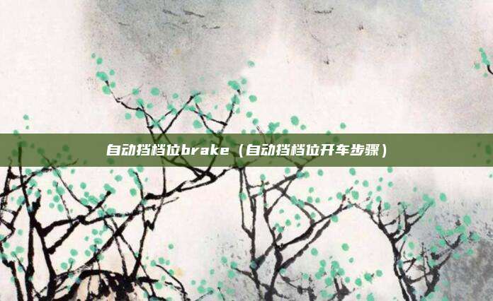 自动挡档位brake(自动挡档位开车步骤)