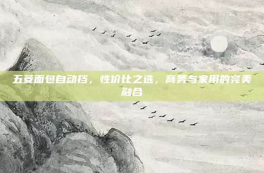 五菱面包自动挡，性价比之选，商务与家用的完美融合
