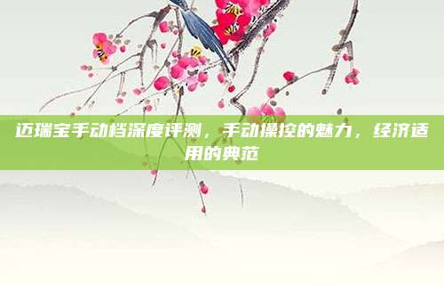 迈瑞宝手动档深度评测,手动操控的魅力,经济适用的典范