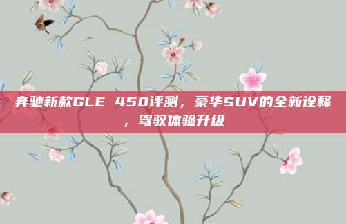 奔驰新款GLE 450评测，豪华SUV的全新诠释，驾驭体验升级