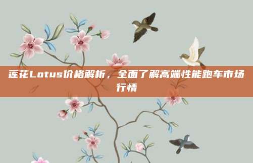 莲花Lotus价格解析，全面了解高端性能跑车市场行情