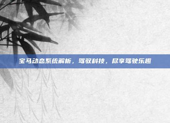 宝马动态系统解析，驾驭科技，尽享驾驶乐趣