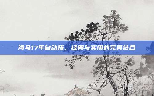 海马17年自动挡，经典与实用的完美结合