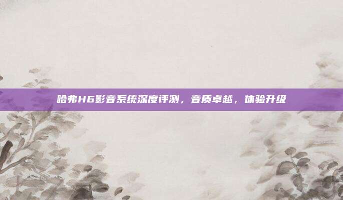 哈弗H6影音系统深度评测,音质卓越,体验升级