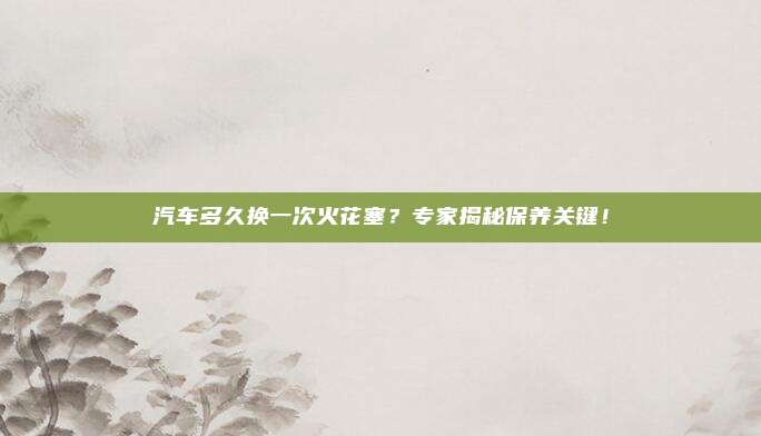 汽车多久换一次火花塞？专家揭秘保养关键！