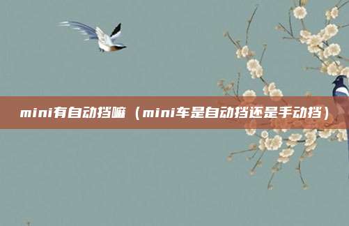 mini有自动挡嘛（mini车是自动挡还是手动挡）