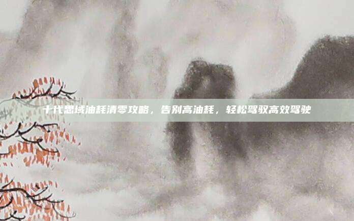 十代思域油耗清零攻略,告别高油耗,轻松驾驭高效驾驶