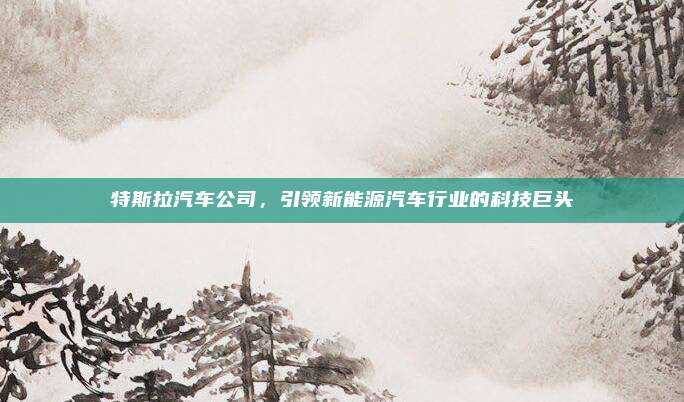 特斯拉汽车公司，引领新能源汽车行业的科技巨头