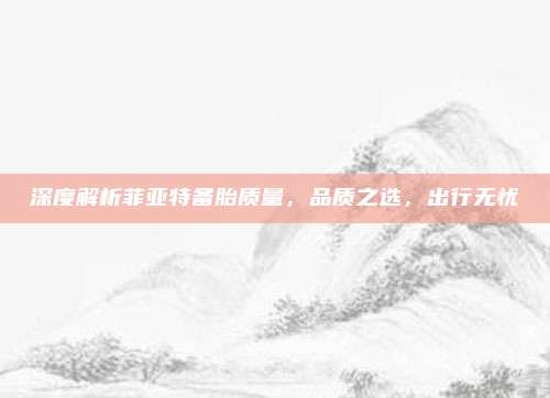深度解析菲亚特备胎质量，品质之选，出行无忧