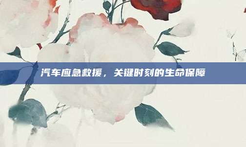 汽车应急救援,关键时刻的生命保障
