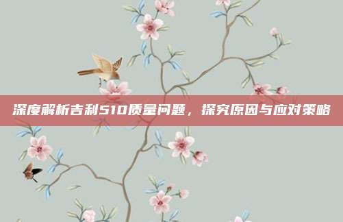 深度解析吉利510质量问题,探究原因与应对策略