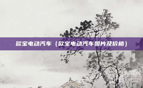 欧宝电动汽车（欧宝电动汽车图片及价格）