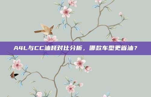 A4L与CC油耗对比分析,哪款车型更省油?