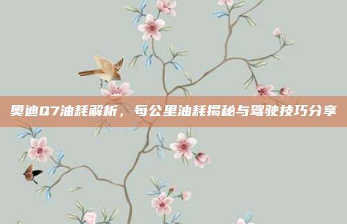 奥迪Q7油耗解析，每公里油耗揭秘与驾驶技巧分享