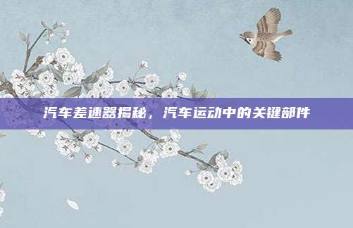 汽车差速器揭秘，汽车运动中的关键部件
