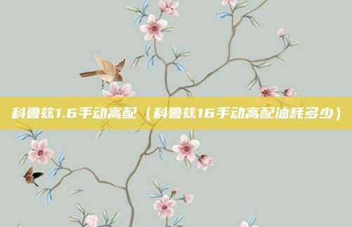 科鲁兹1.6手动高配(科鲁兹16手动高配油耗多少)