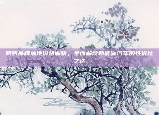 腾势品牌落地价格解析,全面解读新能源汽车的性价比之选