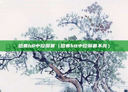 哈弗h8中控屏幕（哈弗h8中控屏幕不亮）