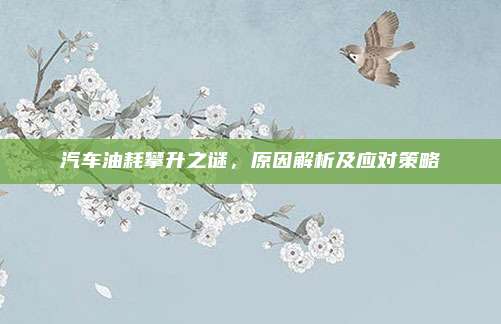 汽车油耗攀升之谜,原因解析及应对策略