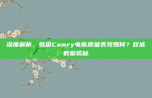 深度解析,韩国Camry电瓶质量表现如何?权威数据揭秘