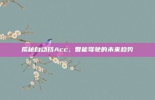 揭秘自动挡Acc，智能驾驶的未来趋势