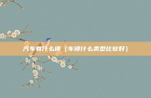汽车有什么锁(车锁什么类型比较好)