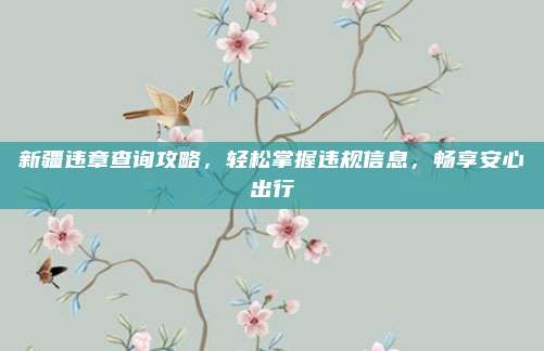新疆违章查询攻略，轻松掌握违规信息，畅享安心出行