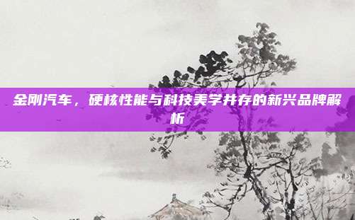 金刚汽车,硬核性能与科技美学并存的新兴品牌解析