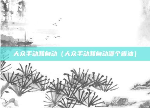 大众手动和自动(大众手动和自动哪个省油)