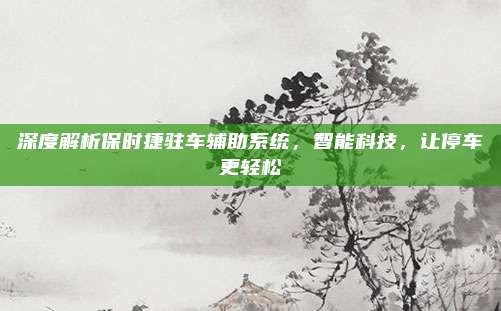 深度解析保时捷驻车辅助系统,智能科技,让停车更轻松