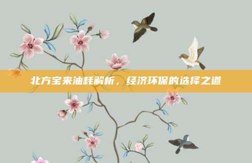 北方宝来油耗解析，经济环保的选择之道