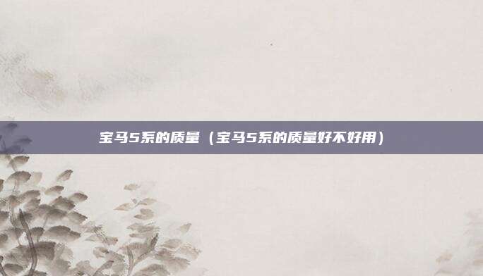 宝马5系的质量（宝马5系的质量好不好用）