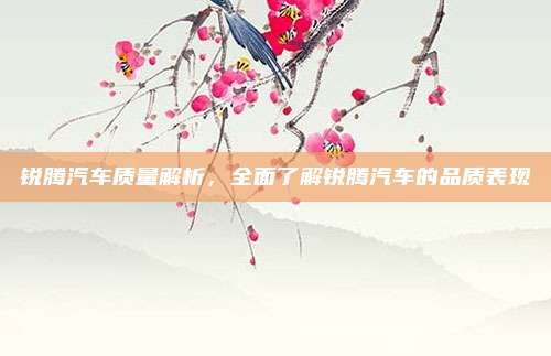 锐腾汽车质量解析，全面了解锐腾汽车的品质表现