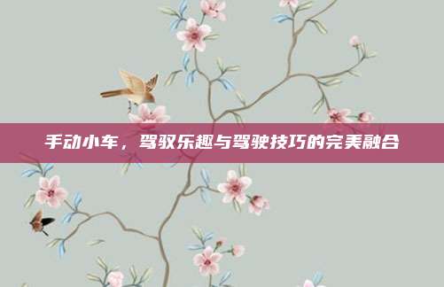 手动小车，驾驭乐趣与驾驶技巧的完美融合