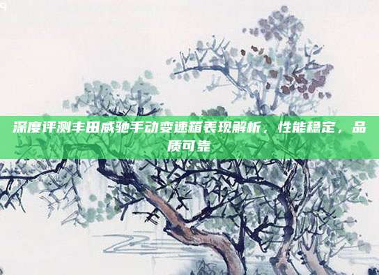 深度评测丰田威驰手动变速箱表现解析,性能稳定,品质可靠