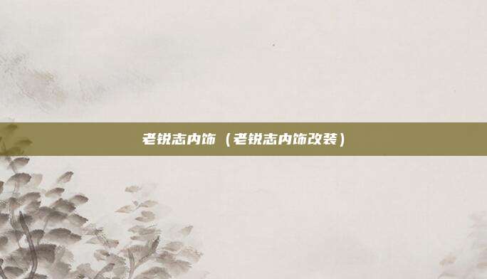 老锐志内饰（老锐志内饰改装）