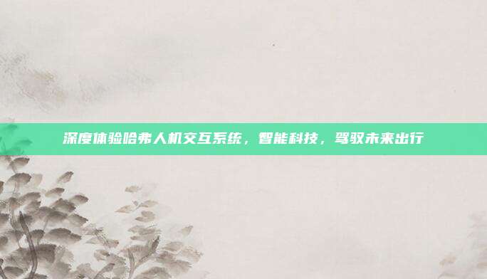 深度体验哈弗人机交互系统,智能科技,驾驭未来出行