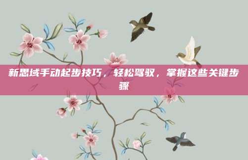 新思域手动起步技巧,轻松驾驭,掌握这些关键步骤