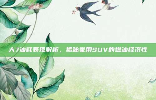 大7油耗表现解析,揭秘家用SUV的燃油经济性