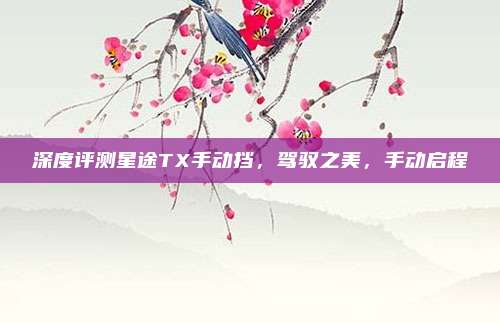 深度评测星途TX手动挡,驾驭之美,手动启程