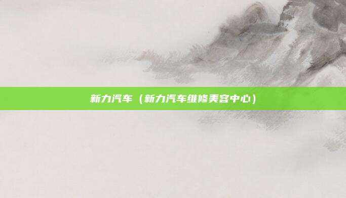 新力汽车（新力汽车维修美容中心）