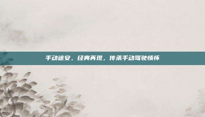手动途安，经典再现，传承手动驾驶情怀