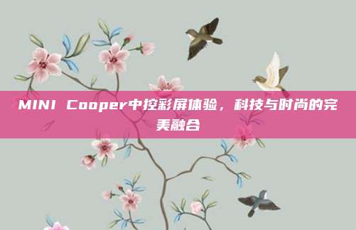 MINI Cooper中控彩屏体验,科技与时尚的完美融合