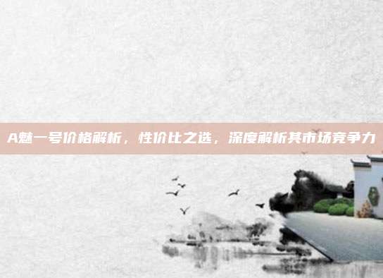 A魅一号价格解析，性价比之选，深度解析其市场竞争力