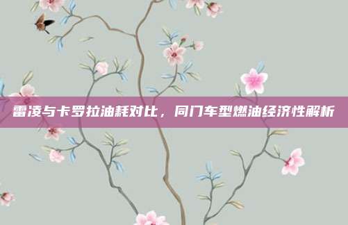 雷凌与卡罗拉油耗对比,同门车型燃油经济性解析