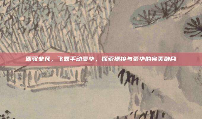 驾驭非凡，飞思手动豪华，探索操控与豪华的完美融合